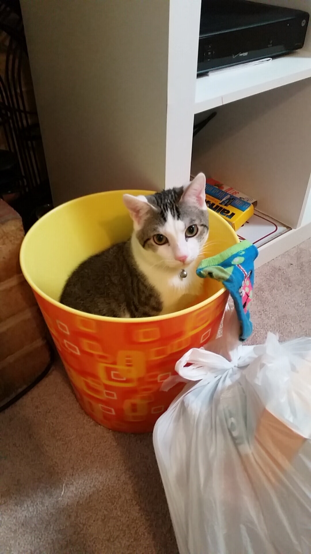 巴黎圣日耳曼继续大手笔：引入多名欧洲明星球员，巴黎圣日耳曼队的球星