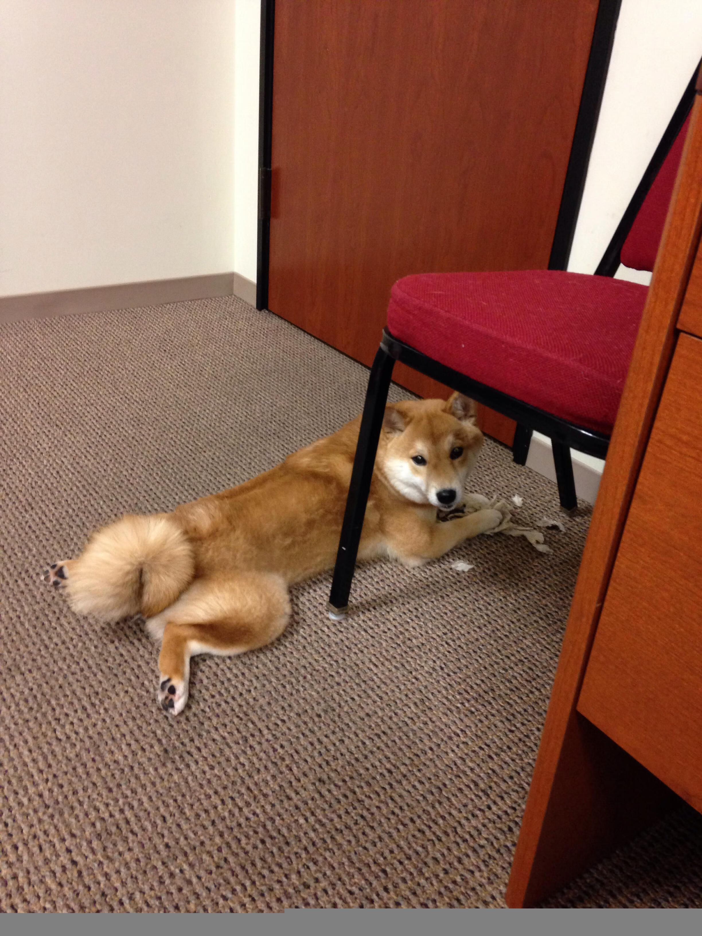 随机巴萨控球率高达75%，逐步蚕食对手防线，巴萨传控进球