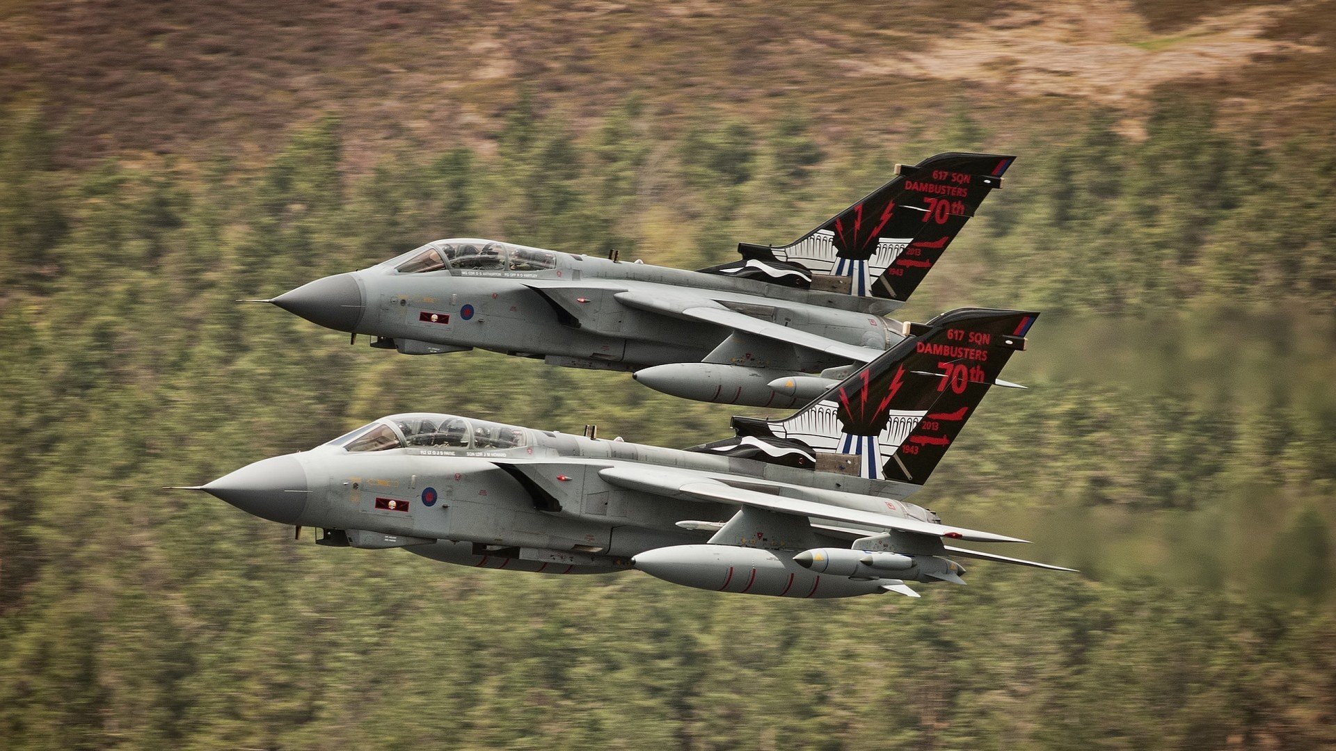 随机布鲁诺·卡博克洛在NBA夏季联赛中展现职业素养，布鲁诺卡波科洛体测数据