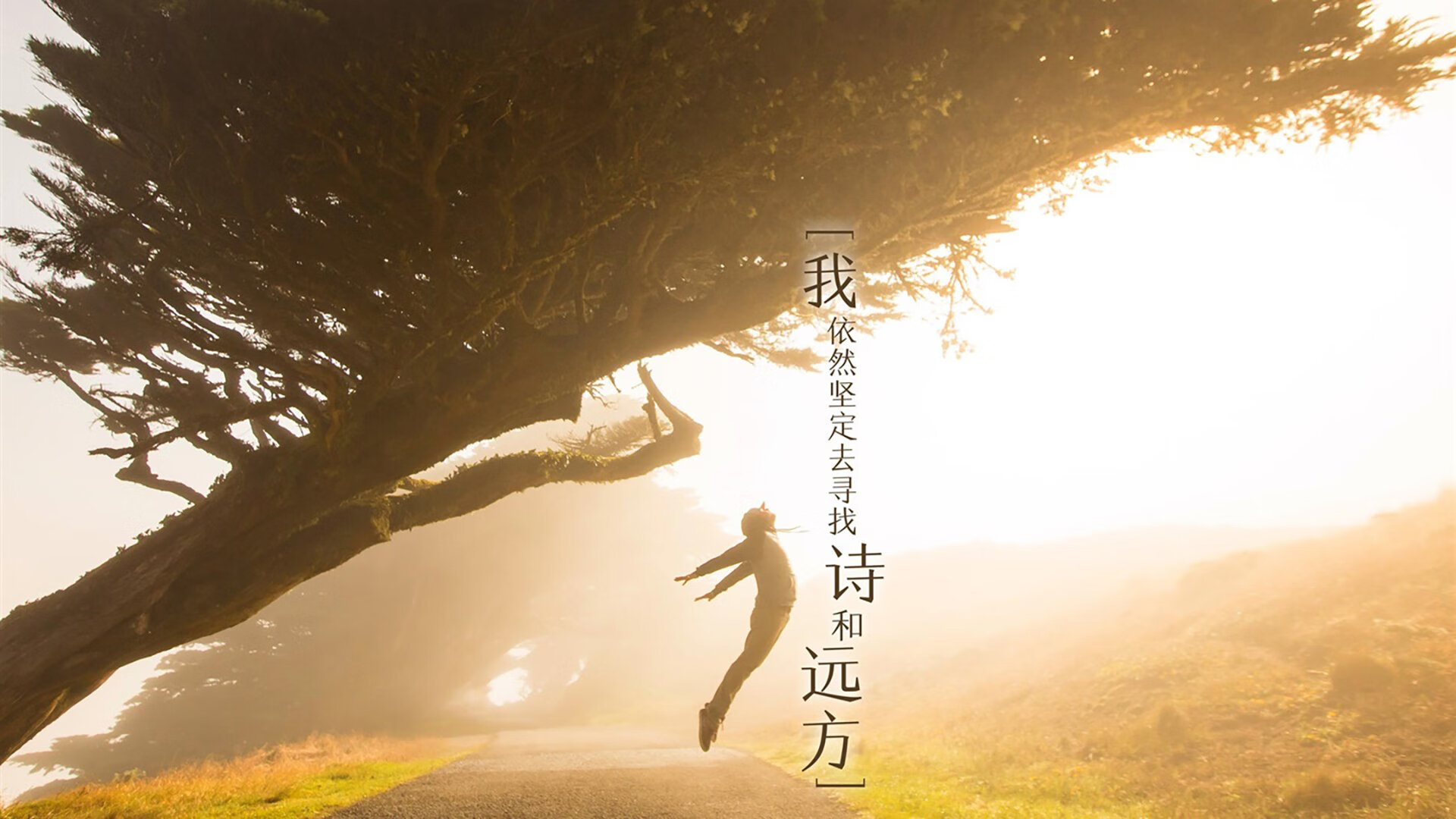 随机守望先锋 俱乐部资金注入战队实力增强，守望先锋俱乐部有哪些