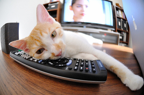 随机德国男子公路赛选手在比赛中获得第十名，德国男子公路赛选手在比赛中获得第十名是谁