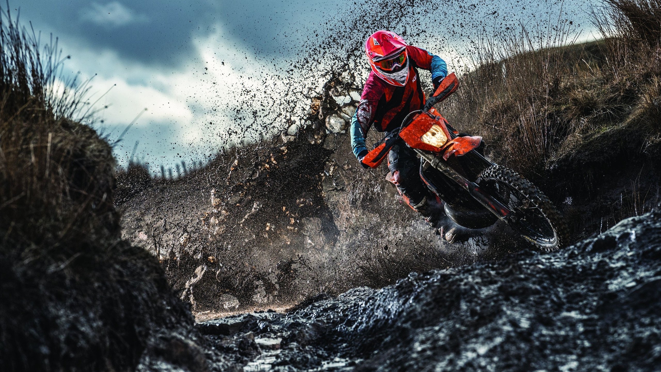 湖人本赛季的“新核心”，詹姆斯与新人默契十足，湖人球队詹姆斯