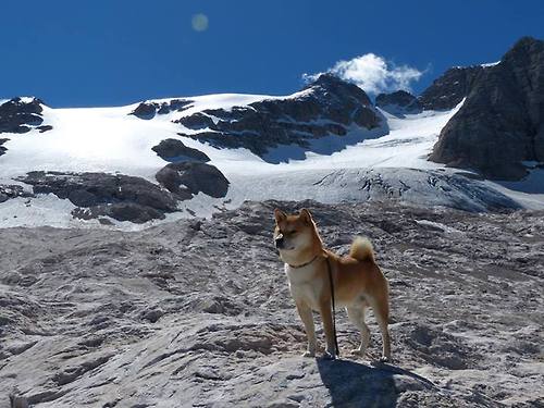 随机中国篮球运动赛事组织管理，中国篮球竞赛体系
