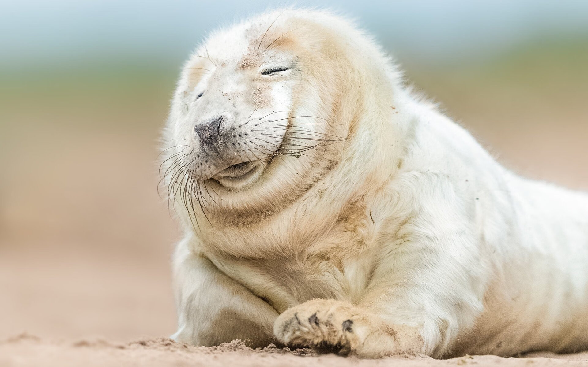 随机体育瞬间：辽宁队球员势不可挡取得胜利，辽宁队 球员