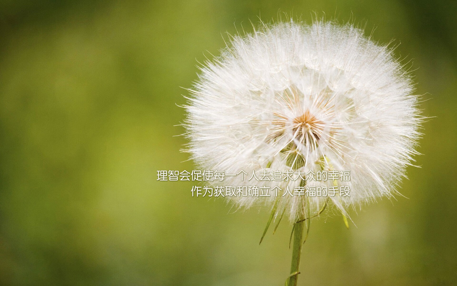 开云官网登录-激动人心的比赛中球员们展现出强大实力，最激动人心的比赛