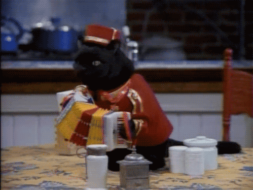 开云平台-美因茨主场击败对手，保持主场不败纪录，美因茨队