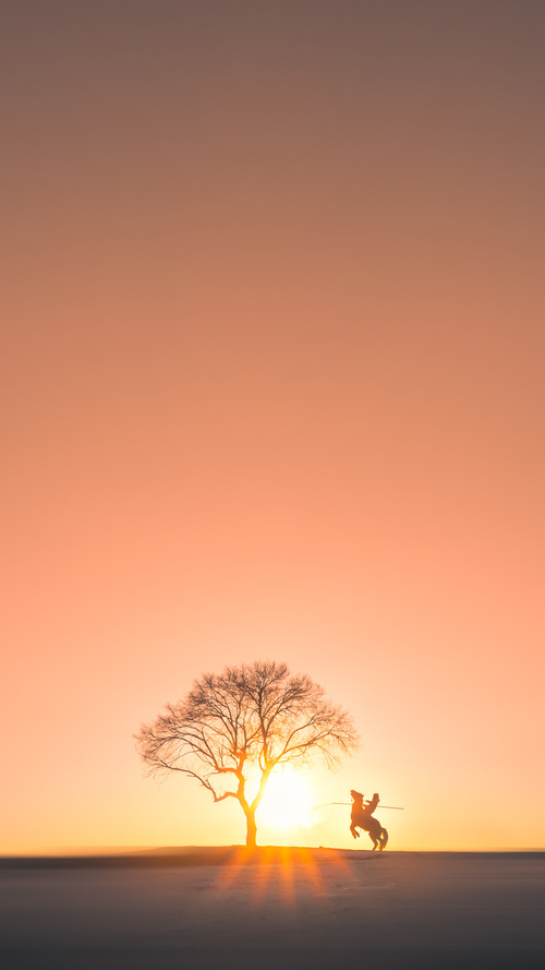 开云网页版-体育赛事服务满意度调查模型构建与应用，赛事满意度调查问卷