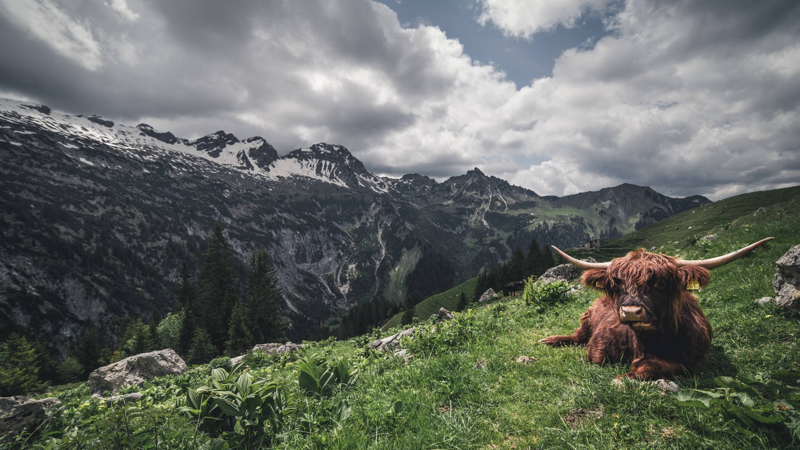 转会战背后:经理人的角色与影响,转会成功