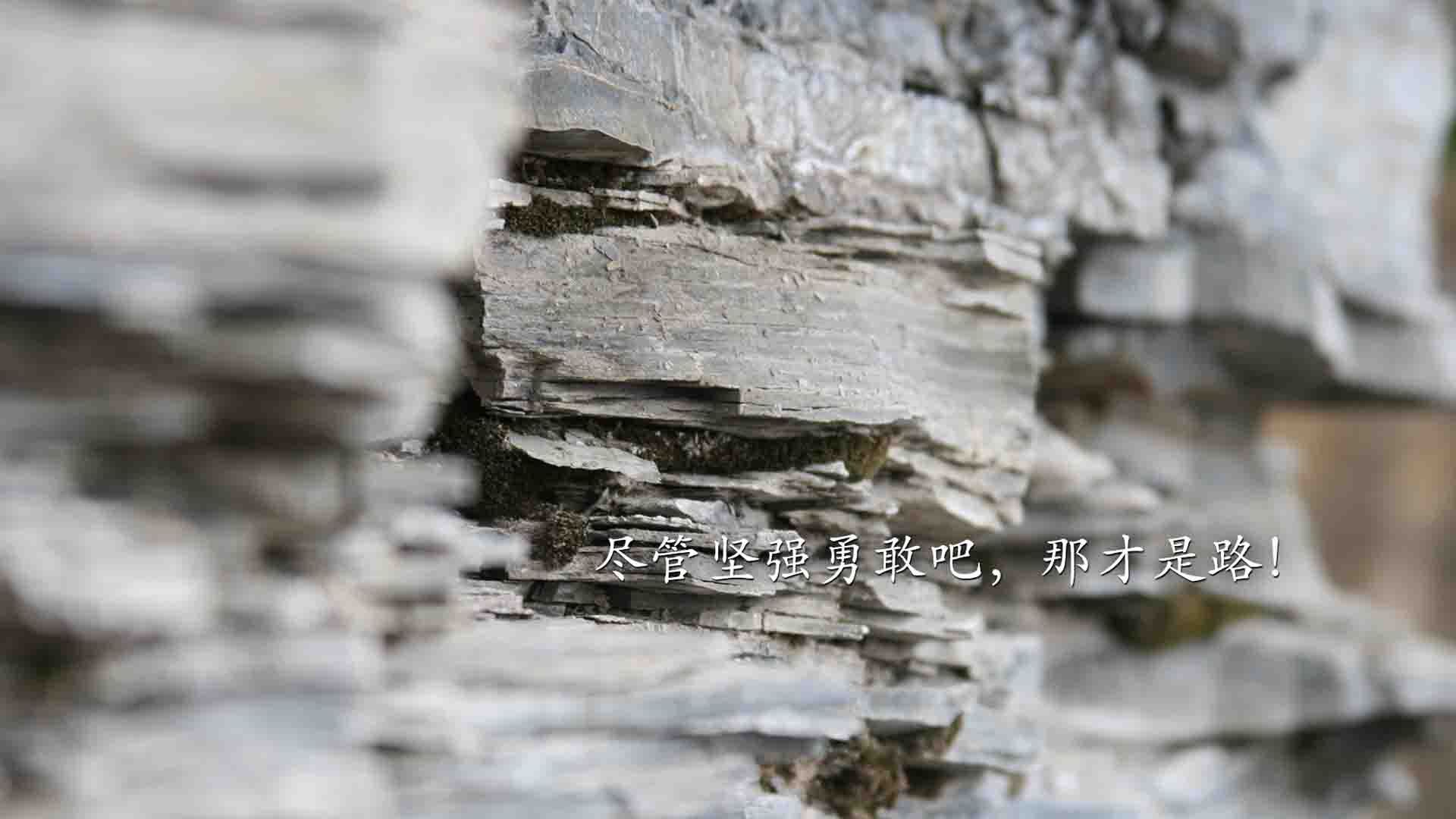 kaiyun.com-Palmer有望成为切尔西未来领袖，切尔西right to play